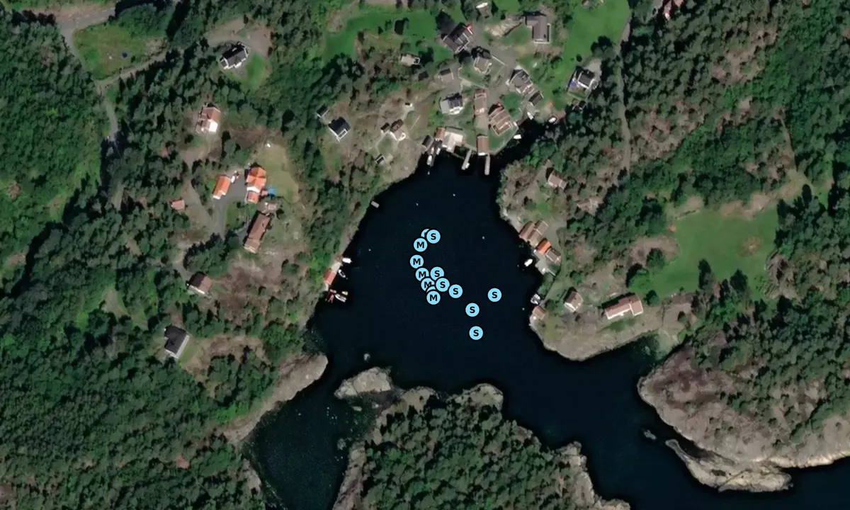 Satelite image of Dalskilen