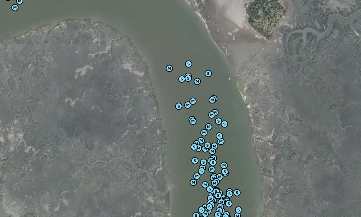 Satelite image of Daufuskie