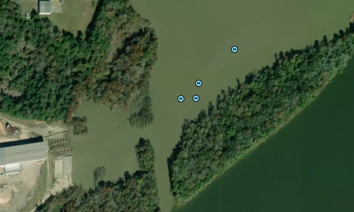 Satelite image of David Lake