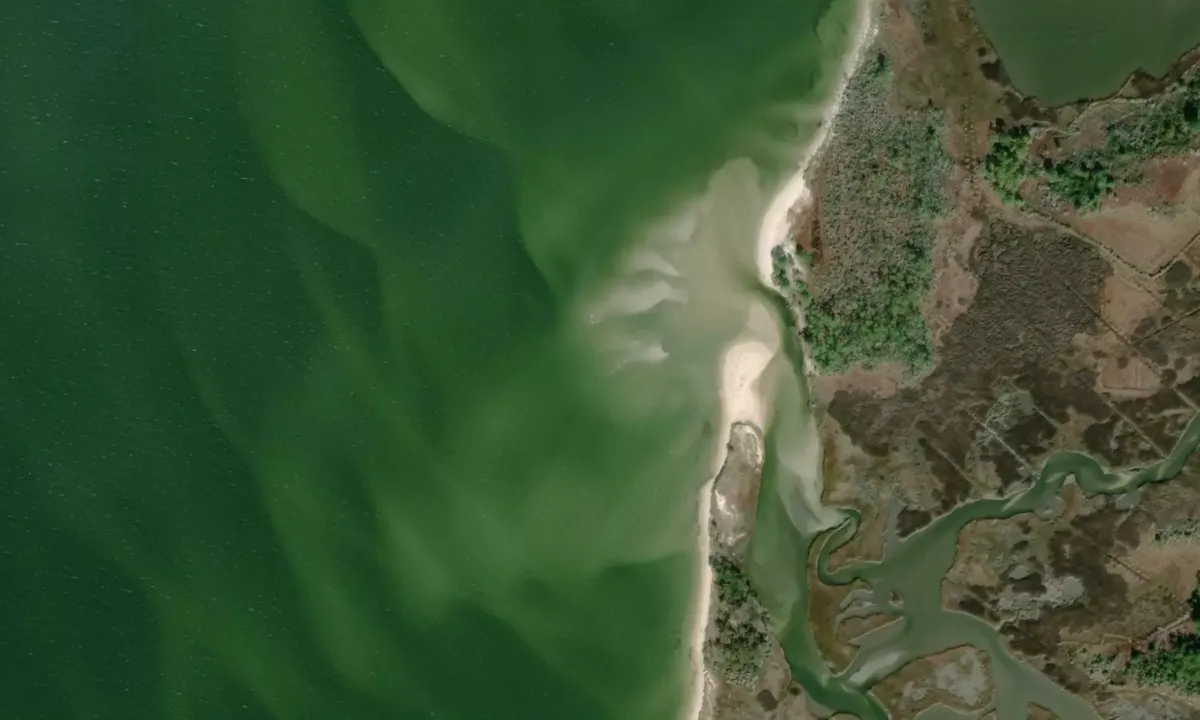 Flyfoto av Deal Island Sand Bar