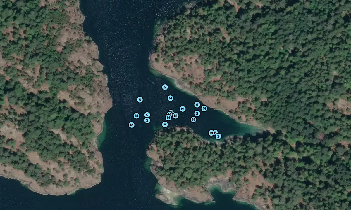 Satelite image of Deep Bay - Lasqueti Island