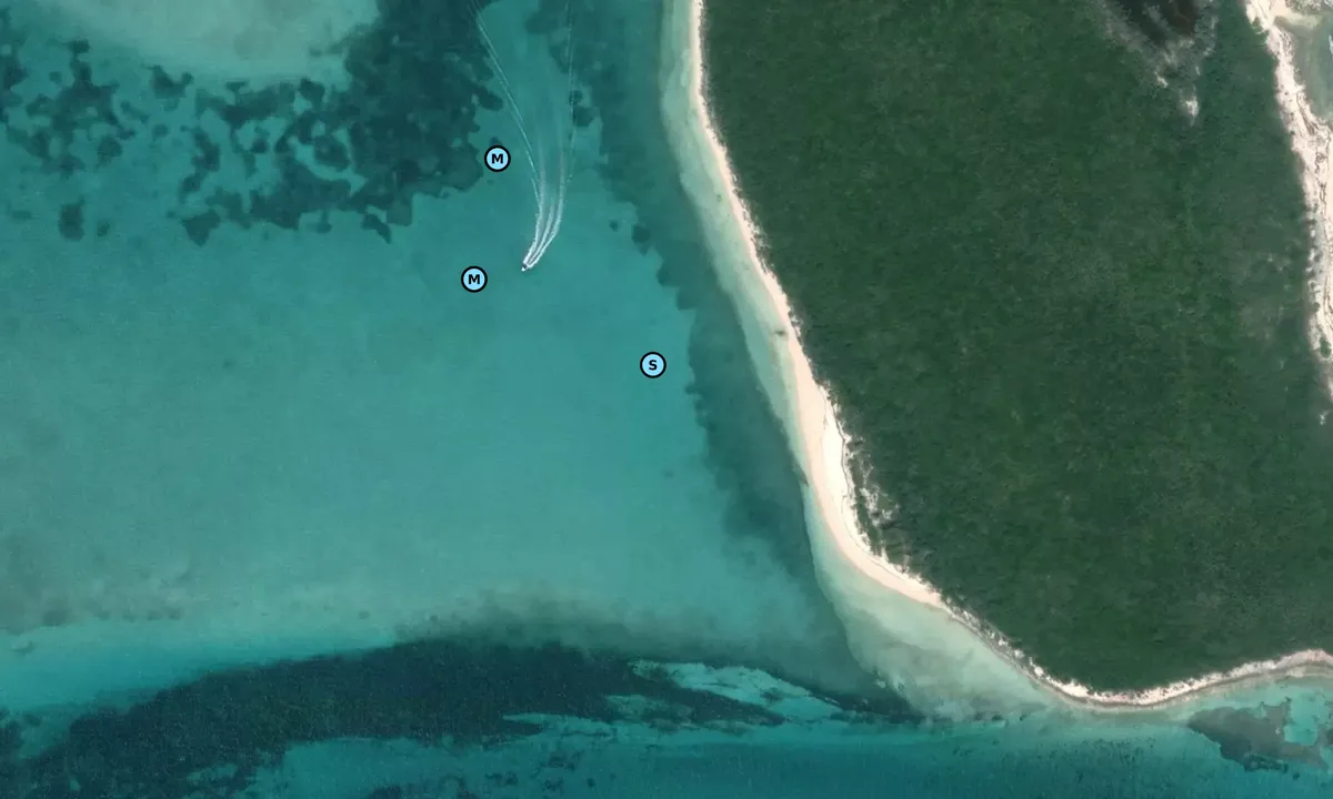 Satelite image of Devils Cay