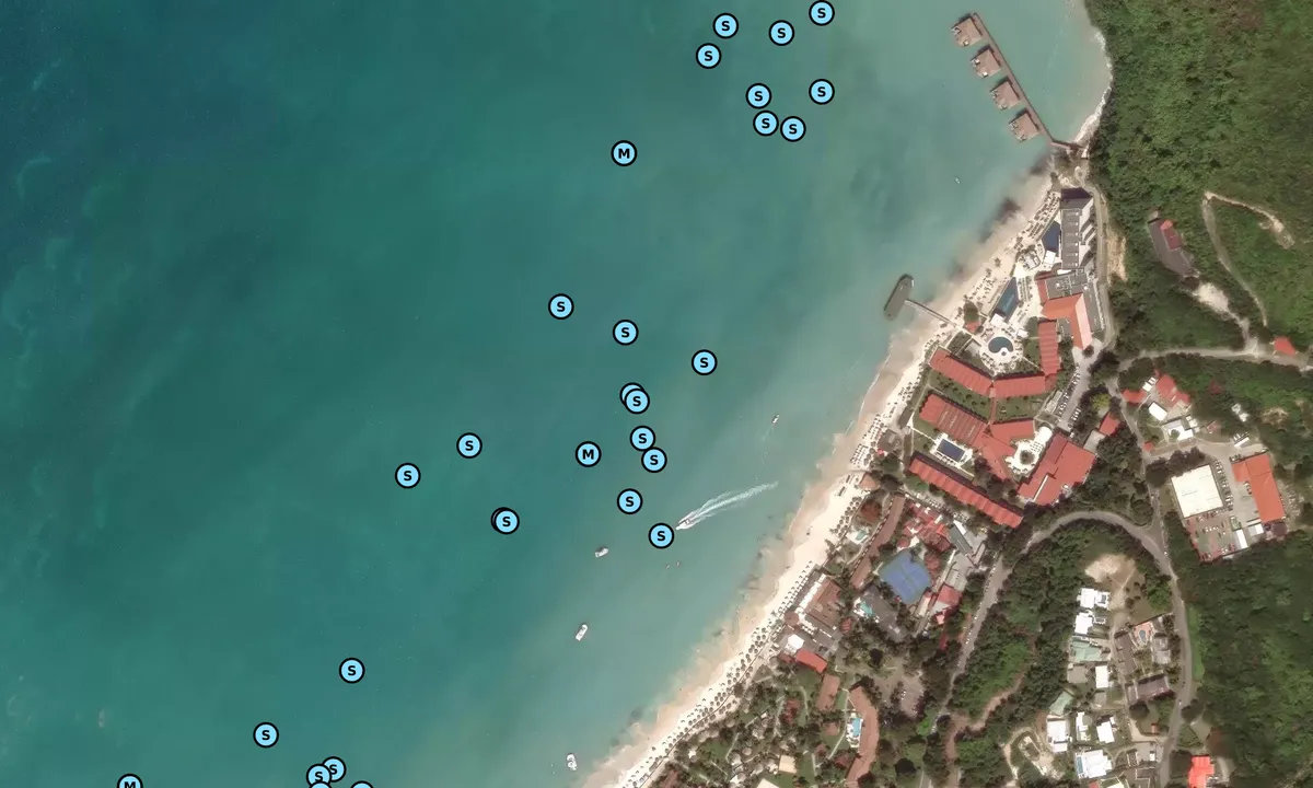 Satelite image of Dickenson Bay