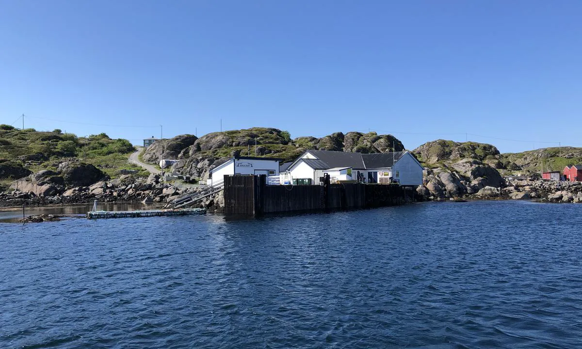 Diesel: Haltbakk Bunkers Sørburøy: {"base": "no", "no": "Haltbakk Bunkers p\u00e5 S\u00f8rbur\u00f8y. Du fueler fra kaia midt i bildet og ikke flytebrygga til venstre.", "se": "Haltbakk Bunkers p\u00e5 S\u00f8rbur\u00f8y. Du bunkrar fr\u00e5n kajen mitt i bilden och inte flytbryggan till v\u00e4nster.", "en": "Haltbakk Bunkers on S\u00f8rbur\u00f8y. You refuel from the quay in the middle of the picture and not the floating dock to the left.", "da": "Haltbakk Bunkers p\u00e5 S\u00f8rbur\u00f8y. Du tanker fra kajen midt i billedet og ikke flydebroen til venstre."}