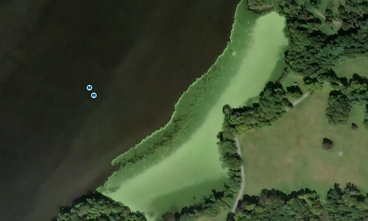 Satelite image of Dinsmore Pt