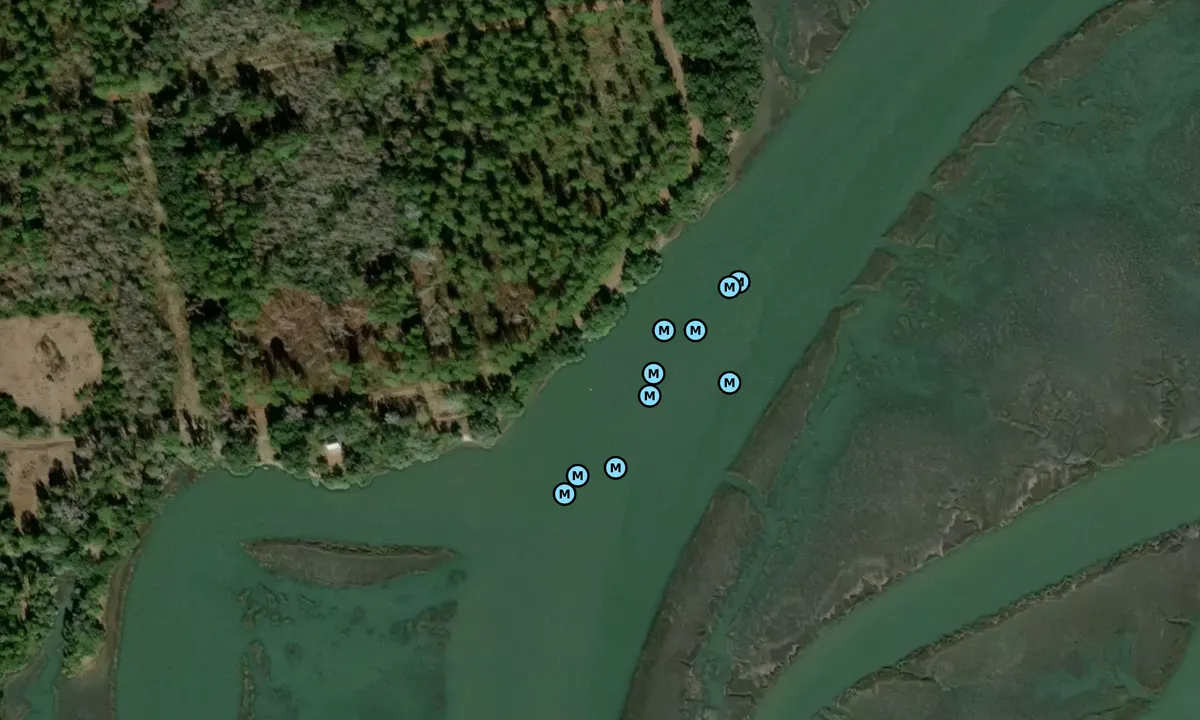 Satelite image of Distant Island Creek - 2