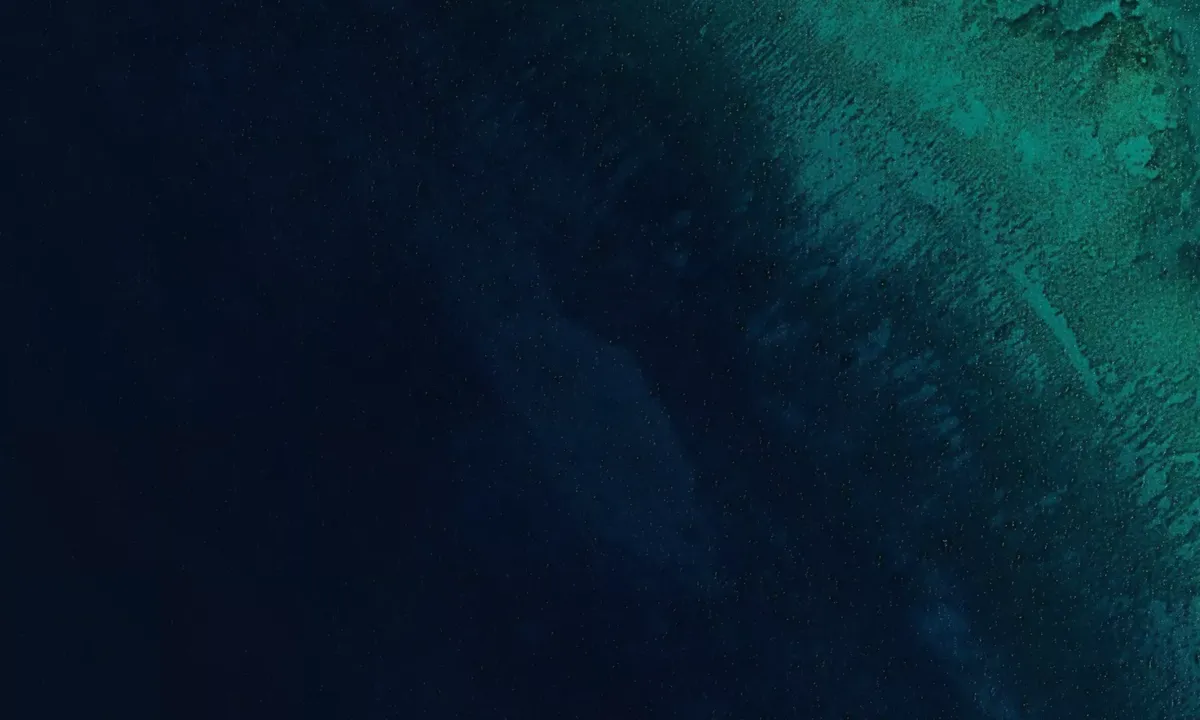 Flyfoto av dive 1