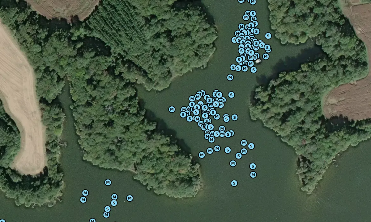 Satelite image of Dividing Creek