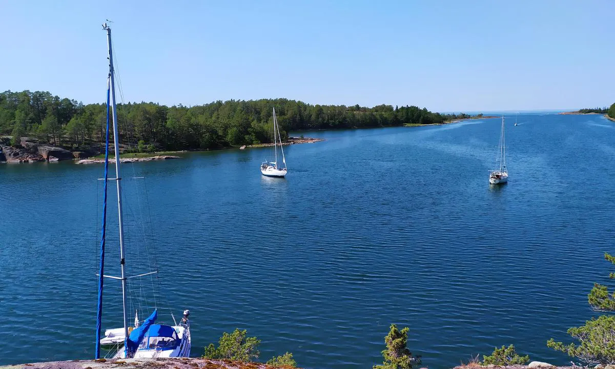 Djupviken - Geta: {"base": "en", "no": "Noen plasser mot land.", "se": "N\u00e5gra platser mot land.", "en": "Some spots towards the land.", "da": "Nogle steder mod landet."}