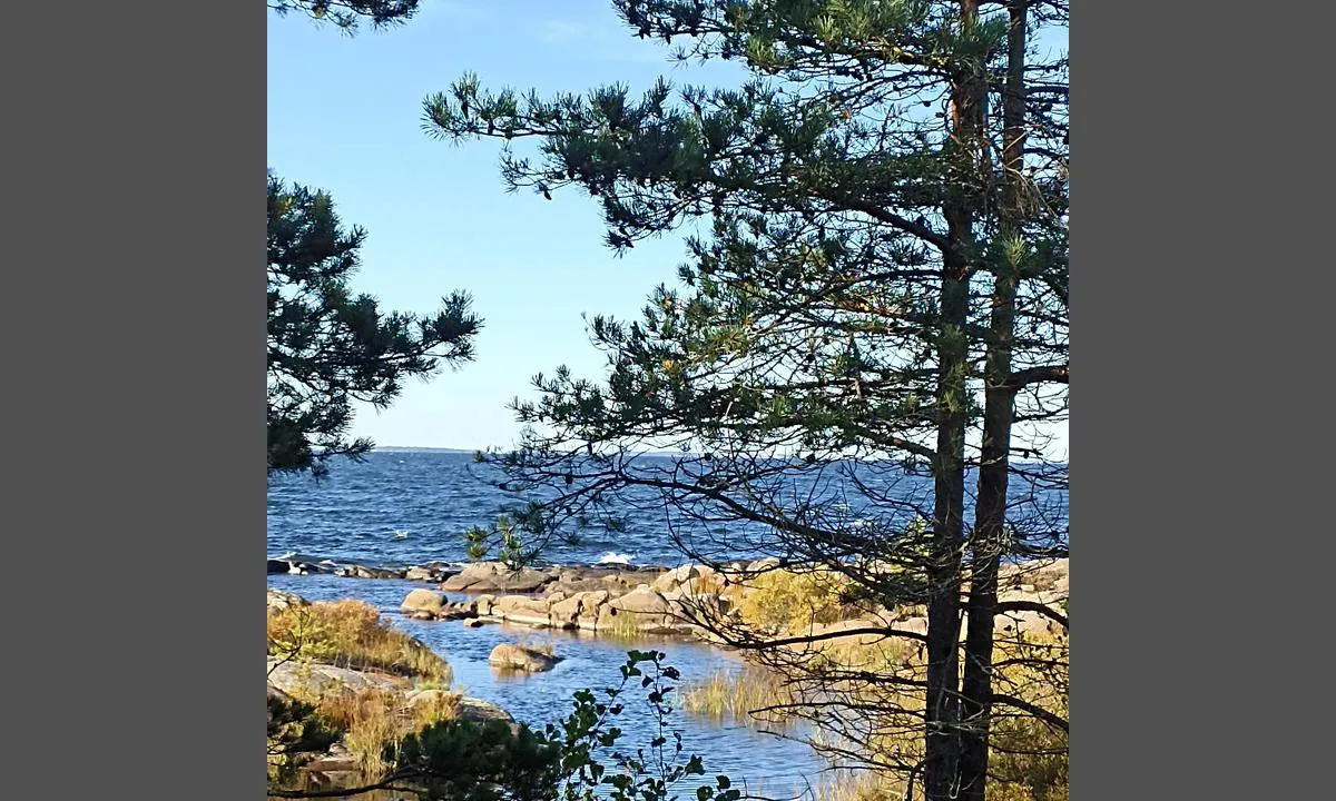 Djurö (N) Malbergshamn - SXK Vänerkretsen bouy: {"base": "se", "no": "Vakre lett tilgjengelige turstier rundt \u00f8ya.", "se": "Vackra l\u00e4ttillg\u00e4ngliga vandringsleder runt \u00f6n.", "en": "Beautiful easily accessible hiking trails around the island.", "da": "Smukke lettilg\u00e6ngelige vandrestier rundt om \u00f8en."}