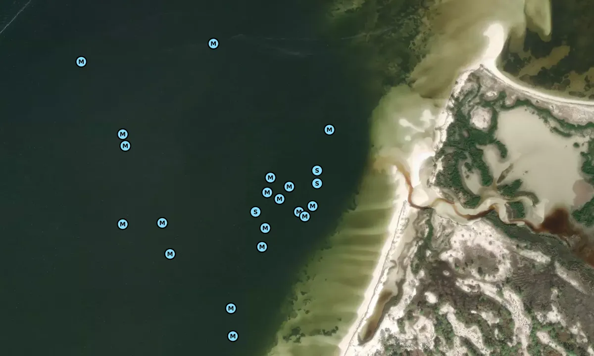 Satelite image of Dog Island East - 1