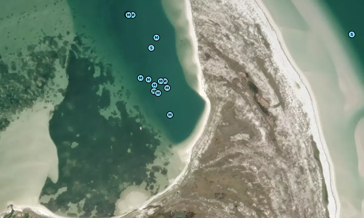 Satelite image of Dog Island East - 2