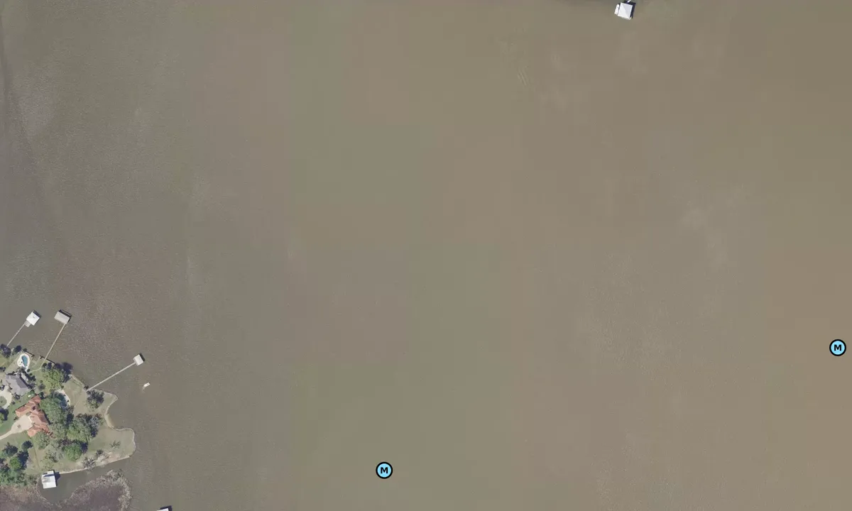 Satelite image of Dog River - 1