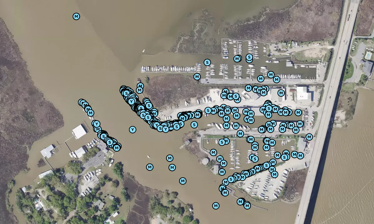 Satelite image of Dog River Marina