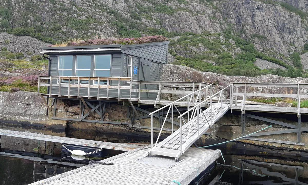 Domba på Hovden - Spongavågen: {"base": "no", "no": "Hytta og landgangen.", "se": "Stugan och landg\u00e5ngen.", "en": "The cabin and the gangway.", "da": "Hyten og landgangen."}