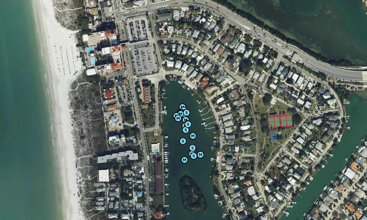 Satelite image of Don Cesar
