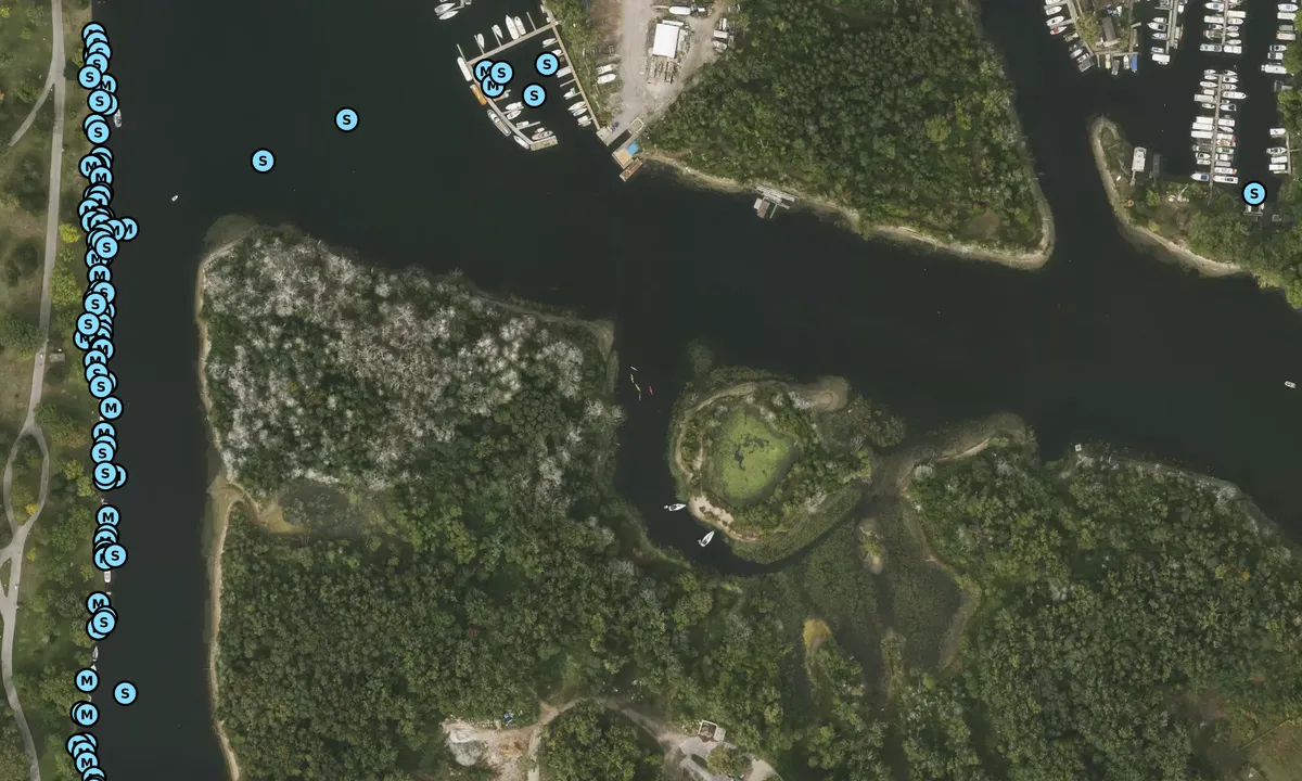 Satelite image of Donut Island