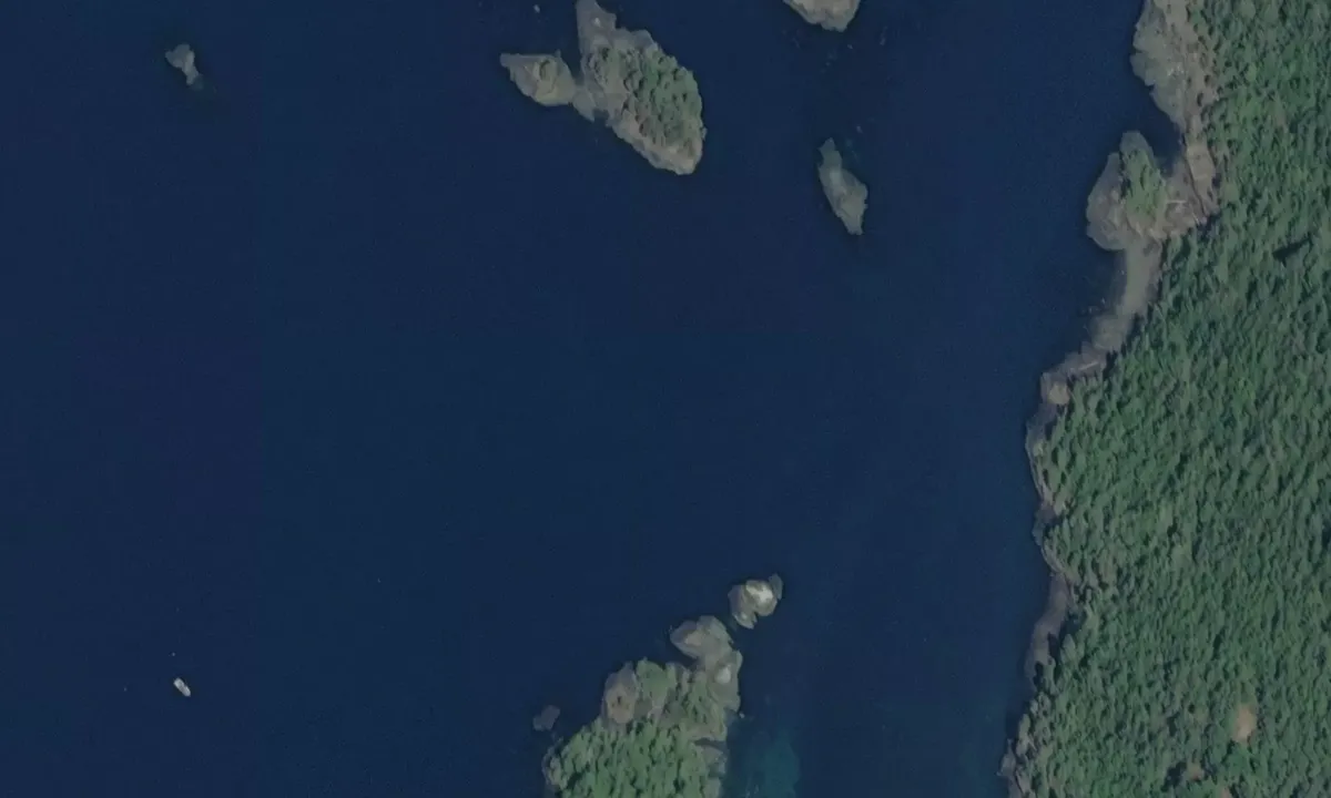 Satelite image of Double Bay East