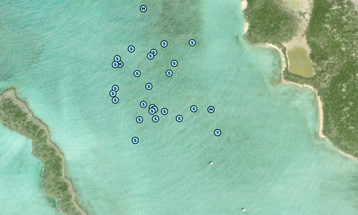 Satelite image of Double Breasted Cay
