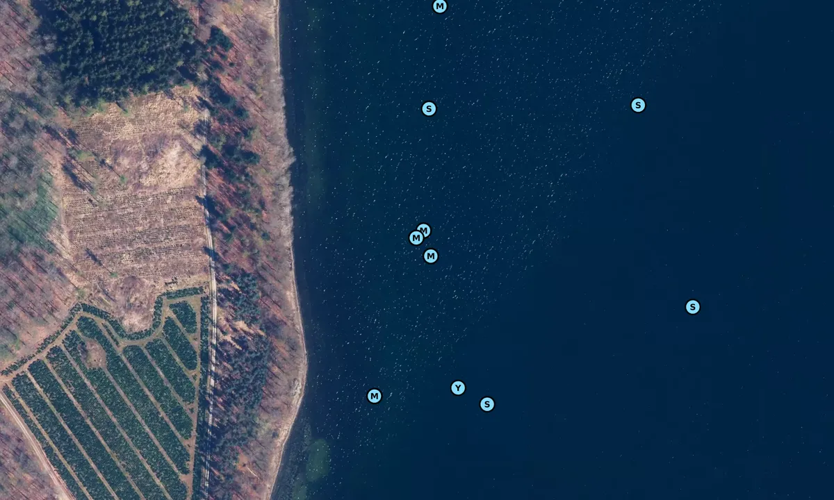 Satelite image of Dragerup Skov bouy