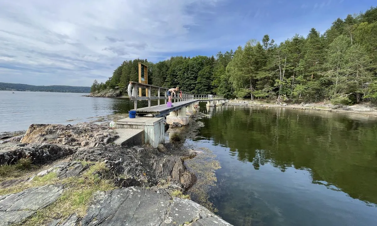 Dragsund - Håøya: {"base": "no", "no": "Gangbroen over til H\u00e5\u00f8ya for adgang til turstier, utedo og s\u00f8ppeldunker.", "se": "G\u00e5ngbron \u00f6ver till H\u00e5\u00f8ya f\u00f6r tillg\u00e5ng till vandringsleder, utedass och soptunnor.", "en": "The gangway over to H\u00e5\u00f8ya for access to hiking trails, an outhouse, and garbage bins.", "da": "Gangbroen over til H\u00e5\u00f8ya for adgang til vandrestier, das og affaldsspande."}