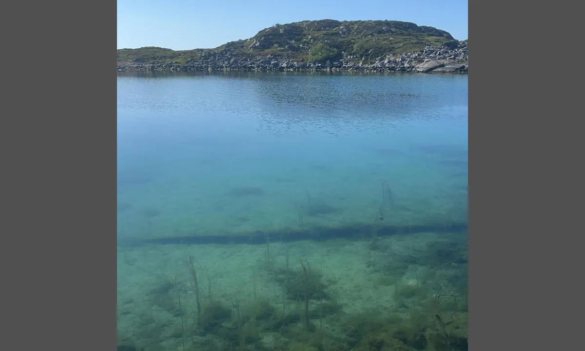 Drevsundholmen: Fint å bade, delvis sandbunn og man kan vasse ut fra stranden.