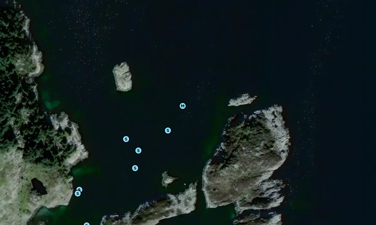 Satelite image of Drevsundholmen