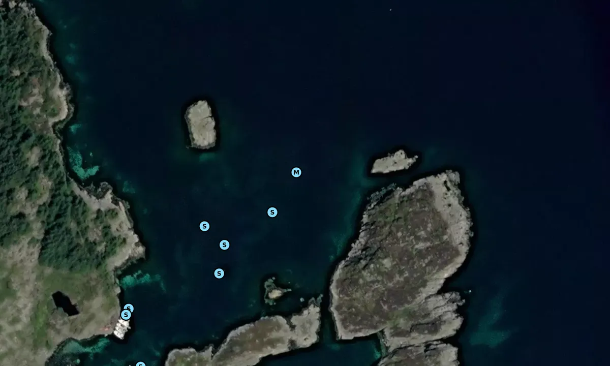 Satelite image of Drevsundholmen