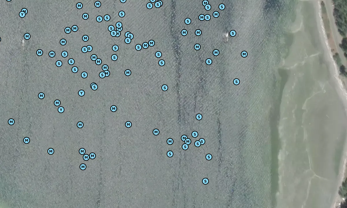 Satelite image of Drew Harbour