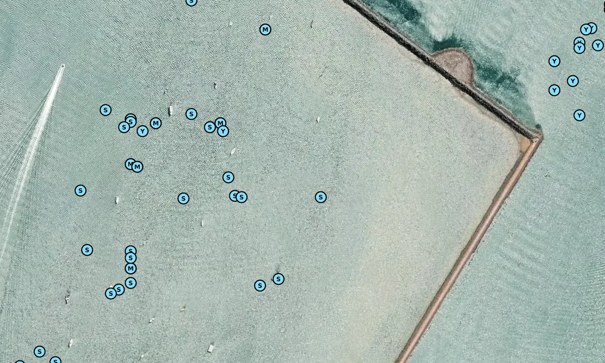 Satelite image of Duck Pond