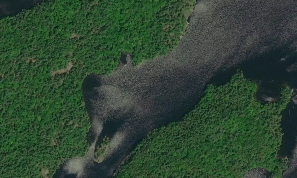 Satelite image of Dudgeon Bay