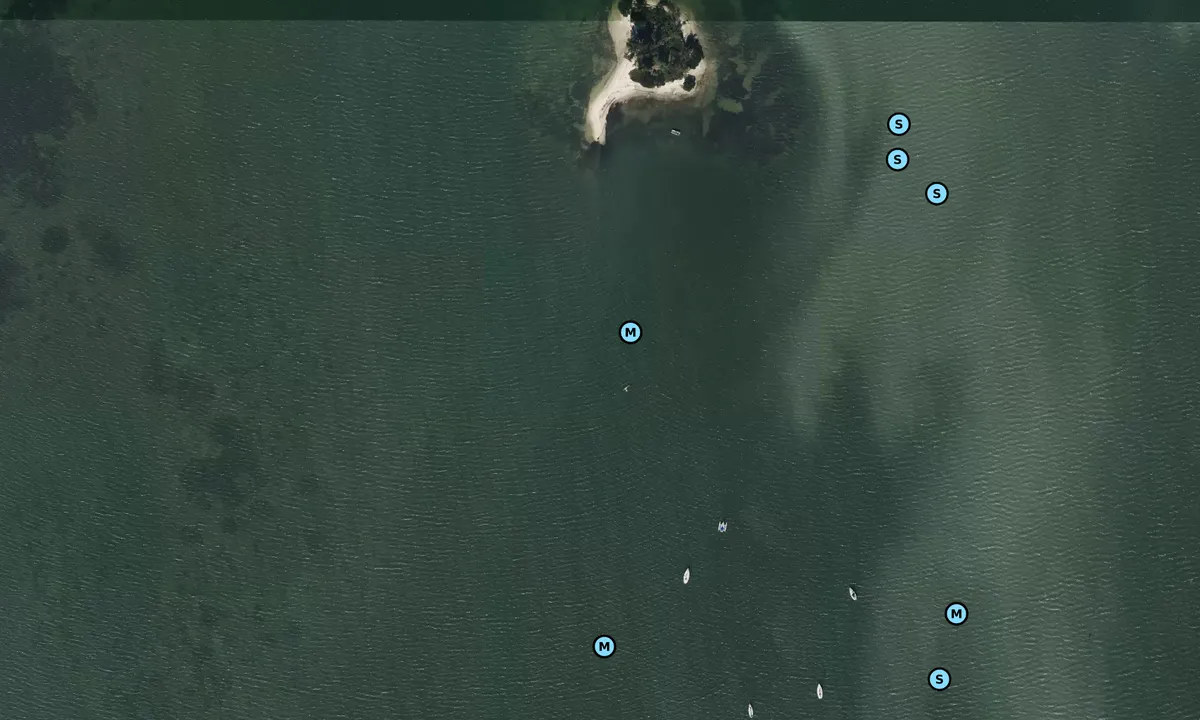 Satelite image of Dunedin West