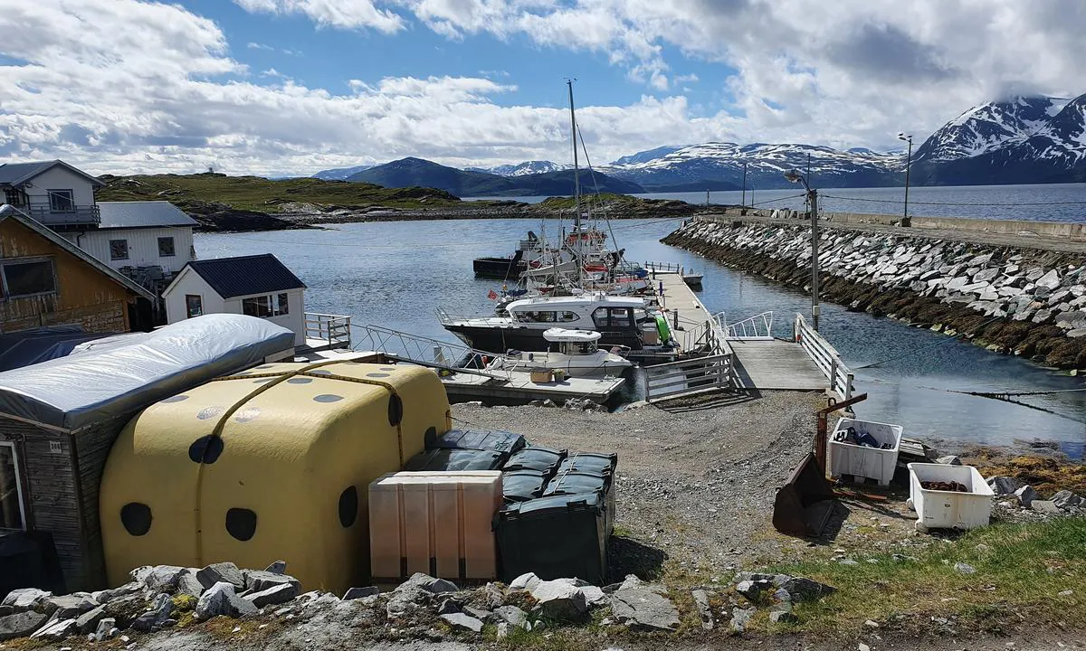 Dunvik Havn: {"base": "no", "no": "Flytebrygge med tre b\u00e5ser til gjester.", "se": "Flytbrygga med tre b\u00e5tplatser f\u00f6r g\u00e4ster.", "en": "Floating dock with three berths for guests.", "da": "Flydebro med tre b\u00e5se til g\u00e6ster."}