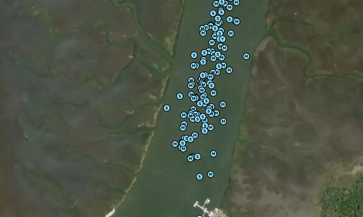 Satelite image of Duplin River - 1