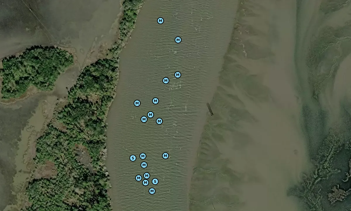 Satelite image of Duplin River - 2