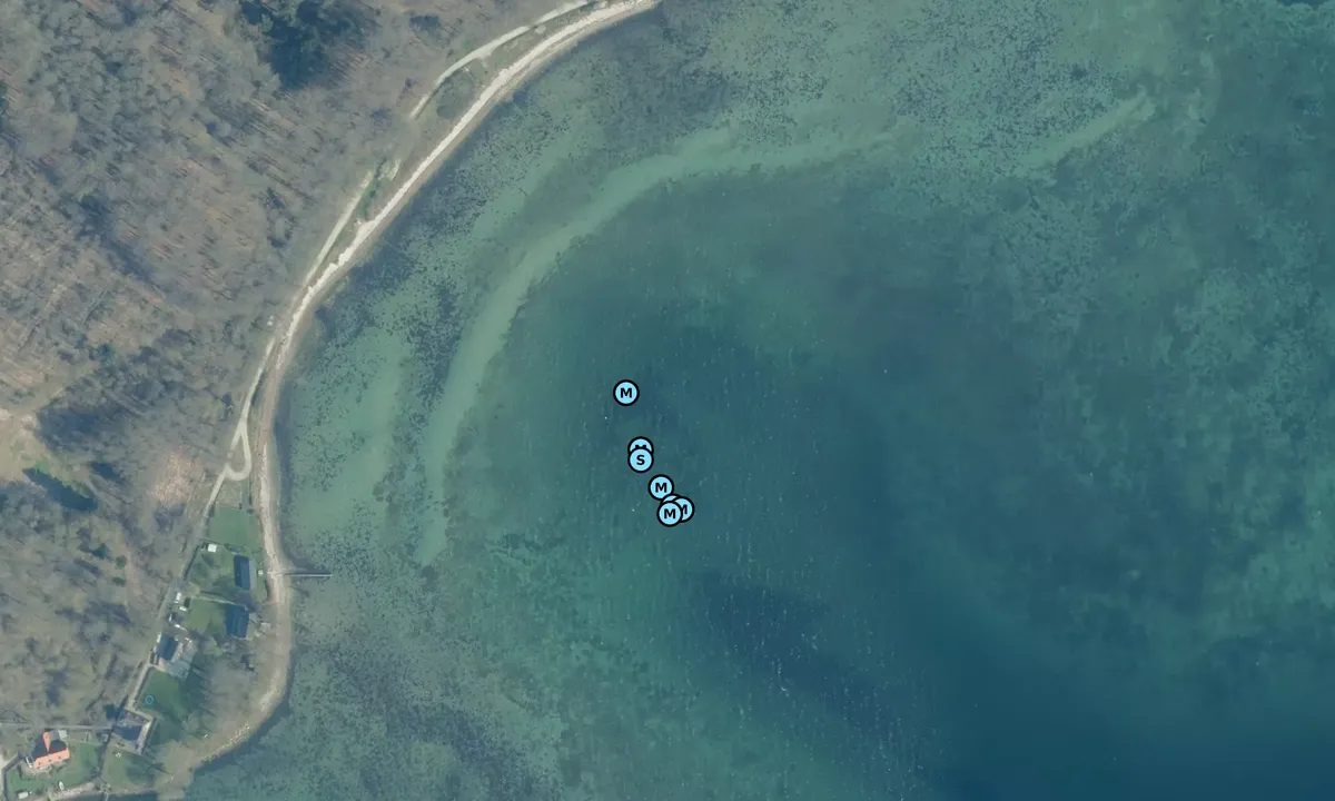 Satelite image of Dyreborg, bouy