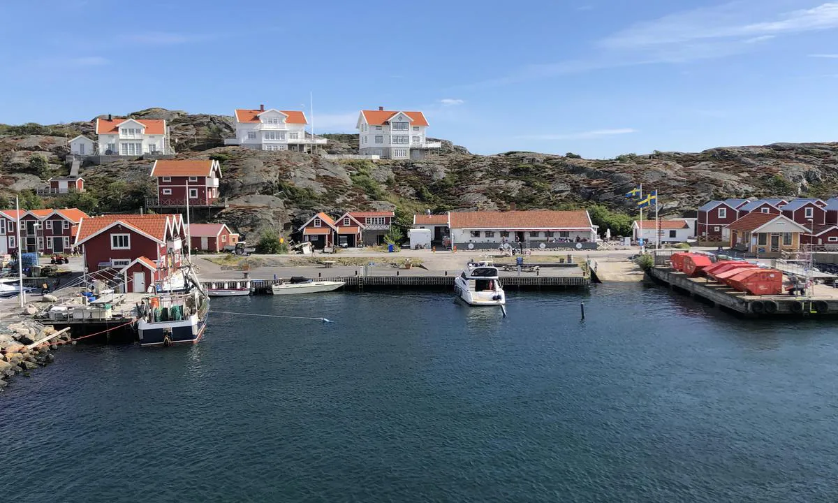 Dyrön - Nordhamnen: Just as you enter the port of Nordhavnen you can moor on the right hand side with stern bouys.