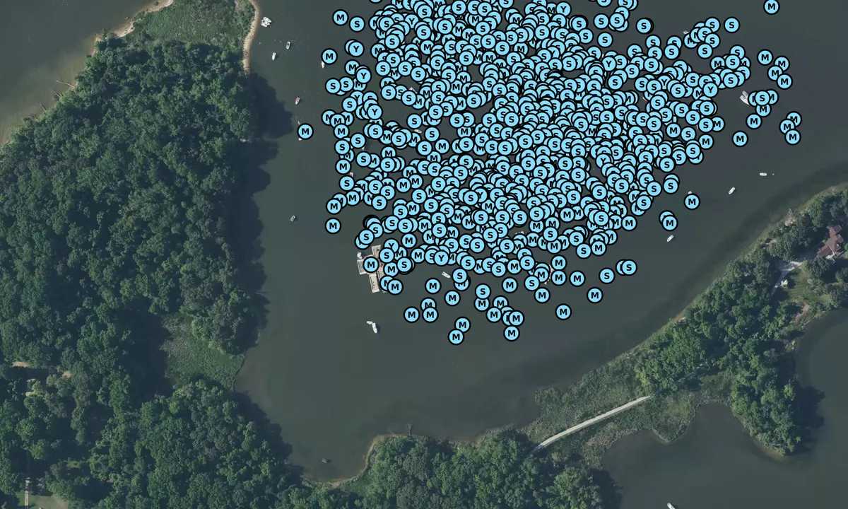 Satelite image of Eagle Cove (The Horse Farm)