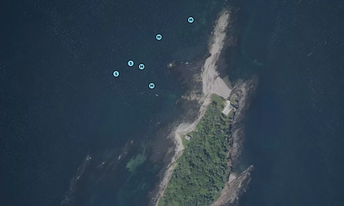 Satelite image of Eagle Island State Park - Harpswell
