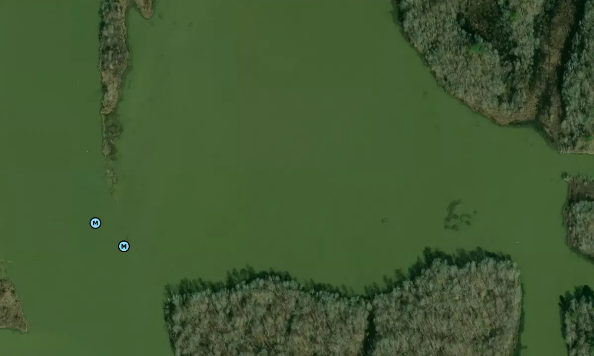 Satelite image of East Lake