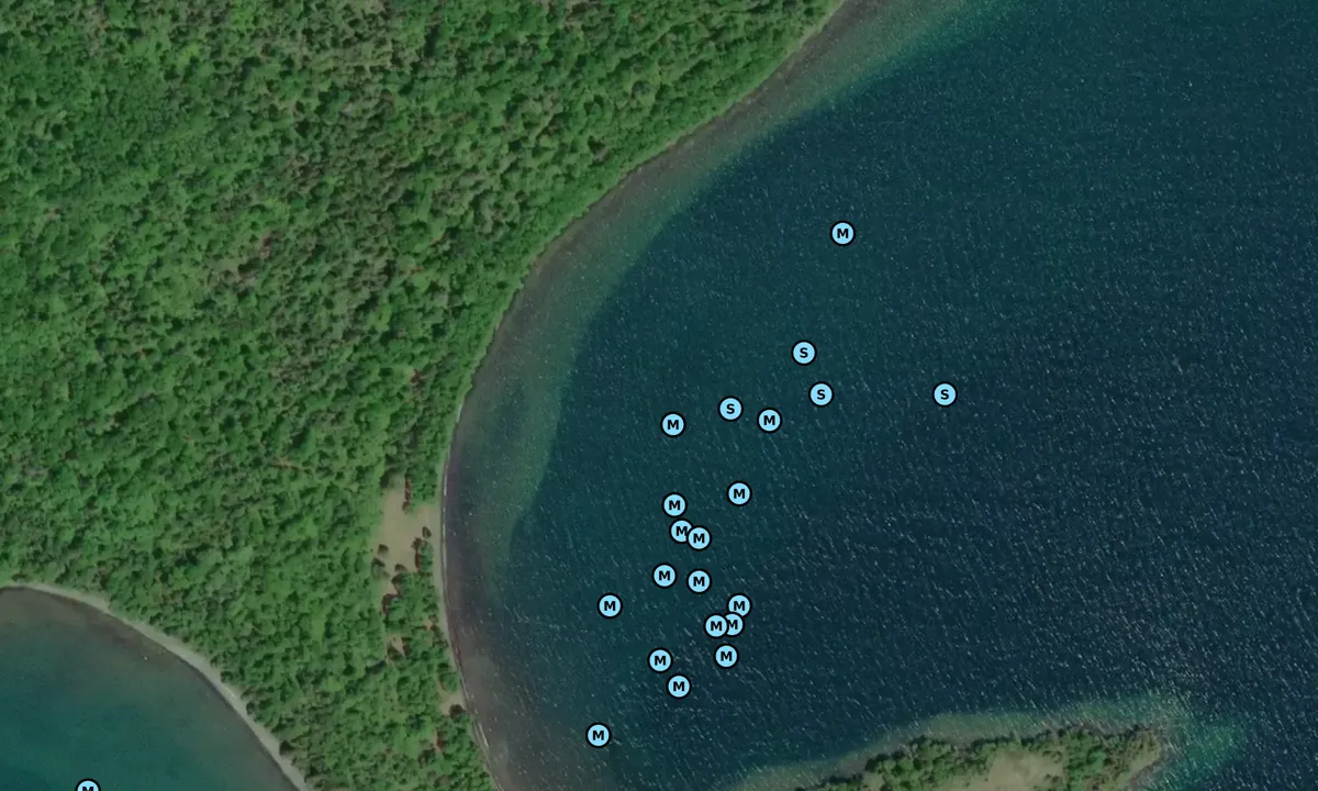 Satelite image of East Tee Harbour