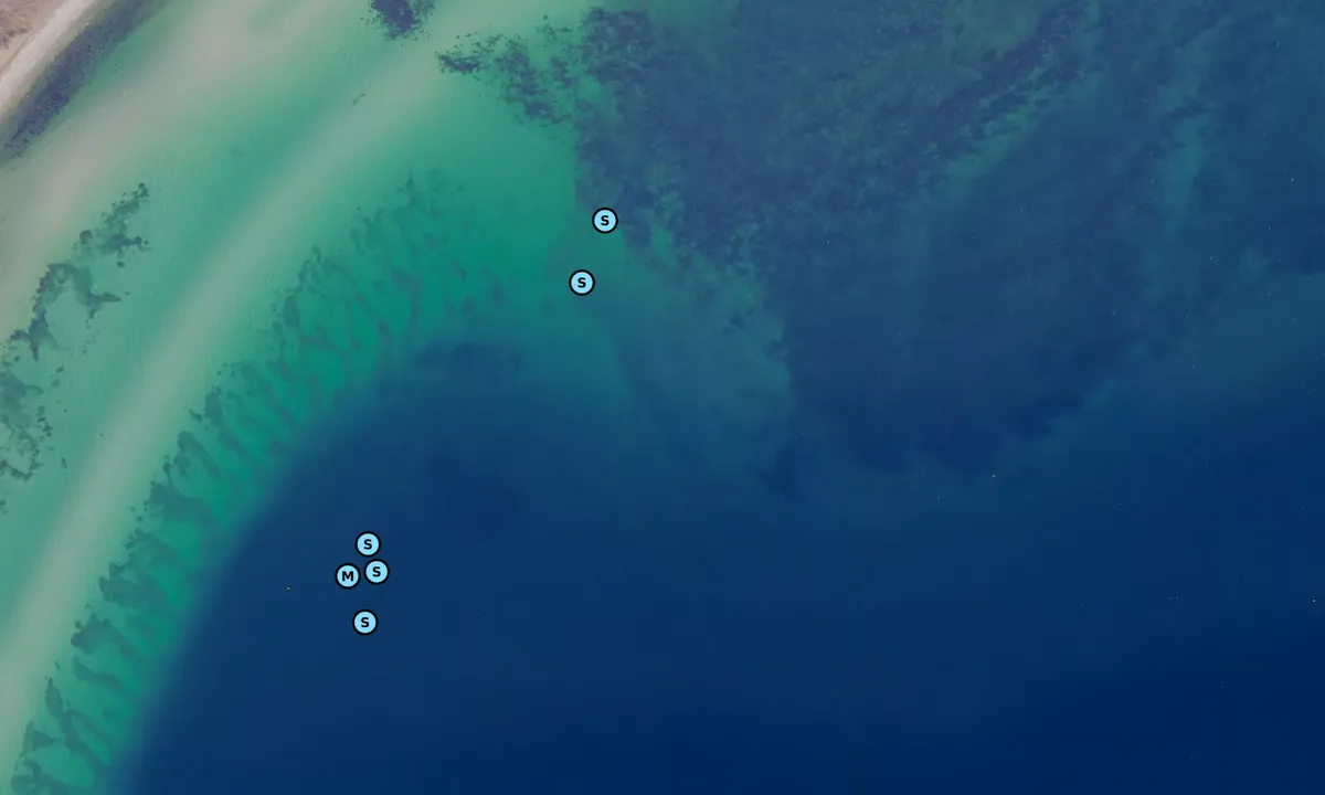 Satelite image of Ebeltoft Vig