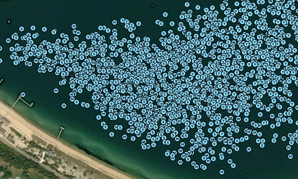 Satelite image of Edgar Town