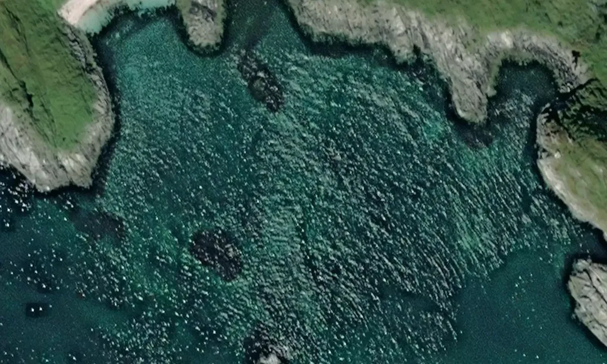 Satelite image of Edøya sør-vest