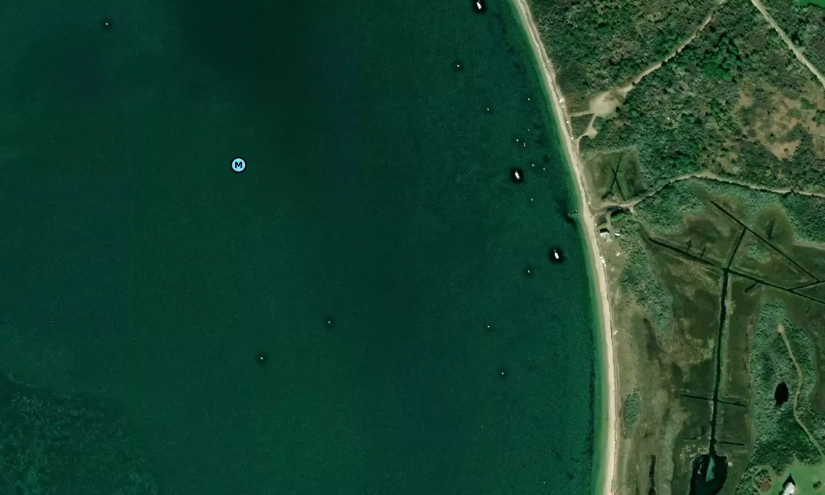Satelite image of Eel Point