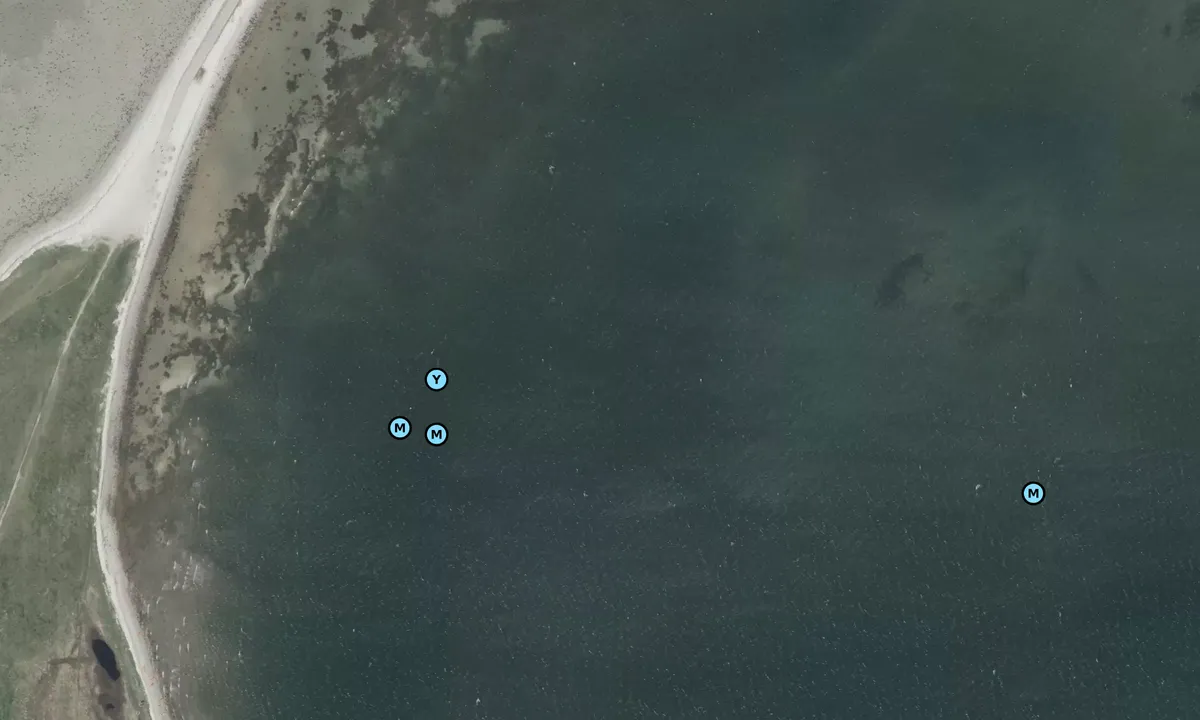 Satelite image of Egens vig bouy