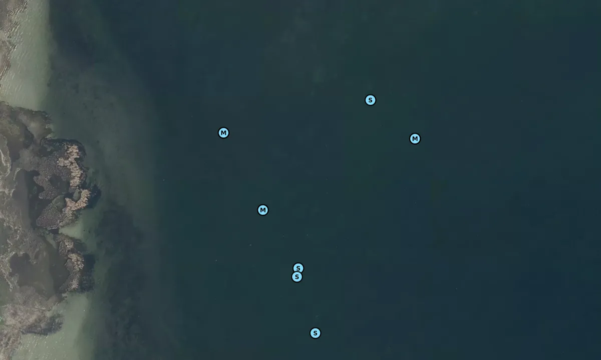 Satelite image of Egevang