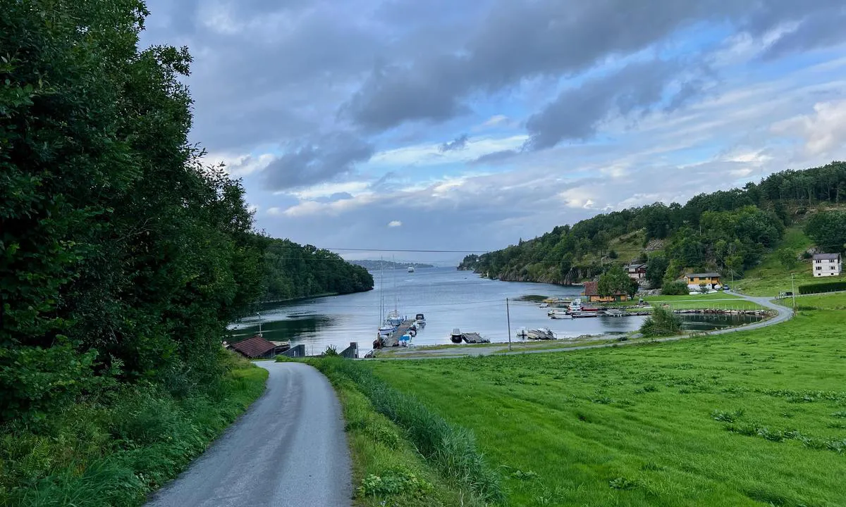 Eidsvåg - Fogn: {"base": "no", "no": "Den private brygge er den lange, n\u00e6rmest den offentlige kai. Gjesteplasser er p\u00e5 vest side, det er plass til 2-3 b\u00e5ter. De \u00f8vrige plasser er utleid. Overnatting for et d\u00f8gn koster 200 kroner  og str\u00f8m 100 kroner, betales med Vipps.", "se": "Den privata bryggan \u00e4r den l\u00e5nga, n\u00e4rmast den offentliga kajen. G\u00e4stplatser finns p\u00e5 v\u00e4stsidan, det finns plats f\u00f6r 2-3 b\u00e5tar. De \u00f6vriga platserna \u00e4r uthyrda. \u00d6vernattning f\u00f6r ett dygn kostar 200 kronor och el 100 kronor, betalas med Swish.", "en": "The private dock is the long one, nearest to the public quay. Guest spaces are on the west side, with space for 2-3 boats. The remaining spaces are rented out. Overnight stay for one day costs 200 kroner and electricity 100 kroner, paid via Vipps.", "da": "Den private bro er den lange, n\u00e6rmest den offentlige kaj. G\u00e6stepladser er p\u00e5 vest siden, der er plads til 2-3 b\u00e5de. De \u00f8vrige pladser er udlejet. Overnatning for et d\u00f8gn koster 200 kroner og str\u00f8m 100 kroner, betales med MobilePay."}
