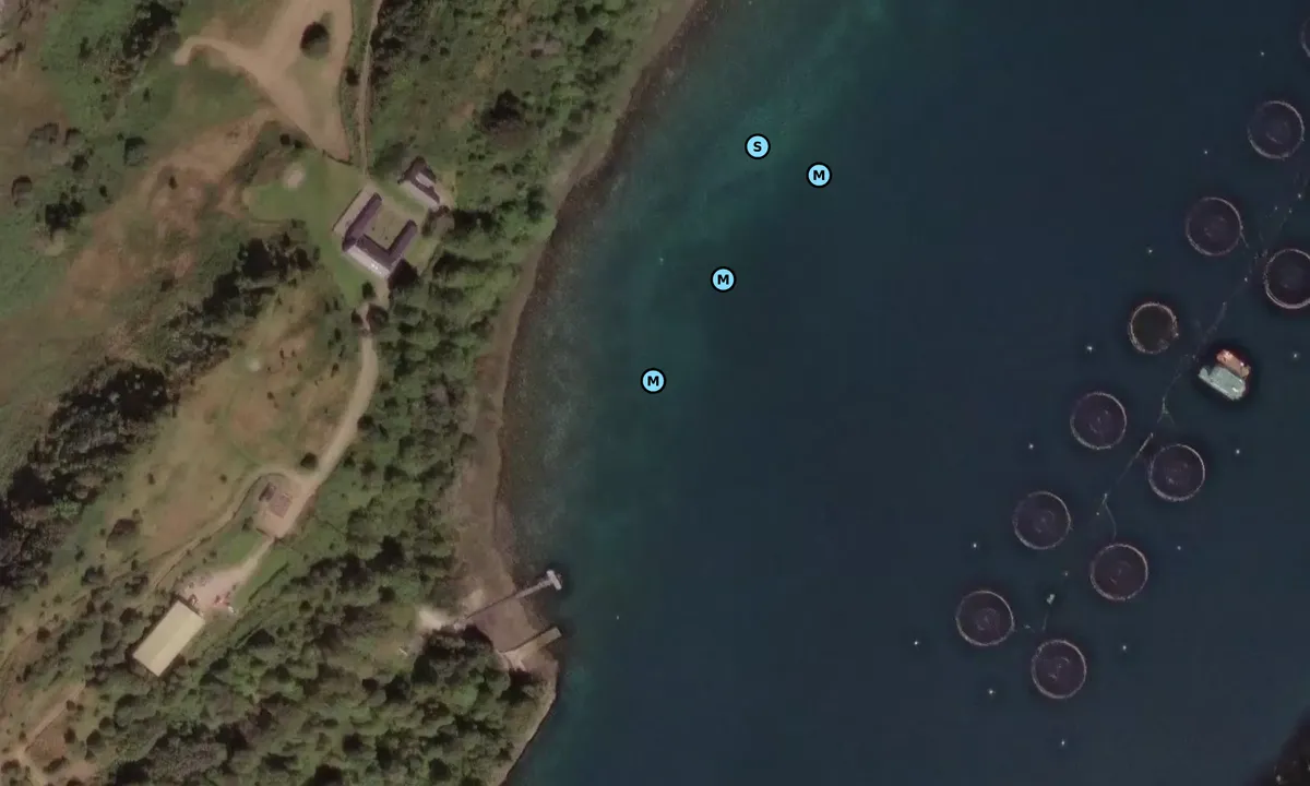 Satelite image of Eilean Righ