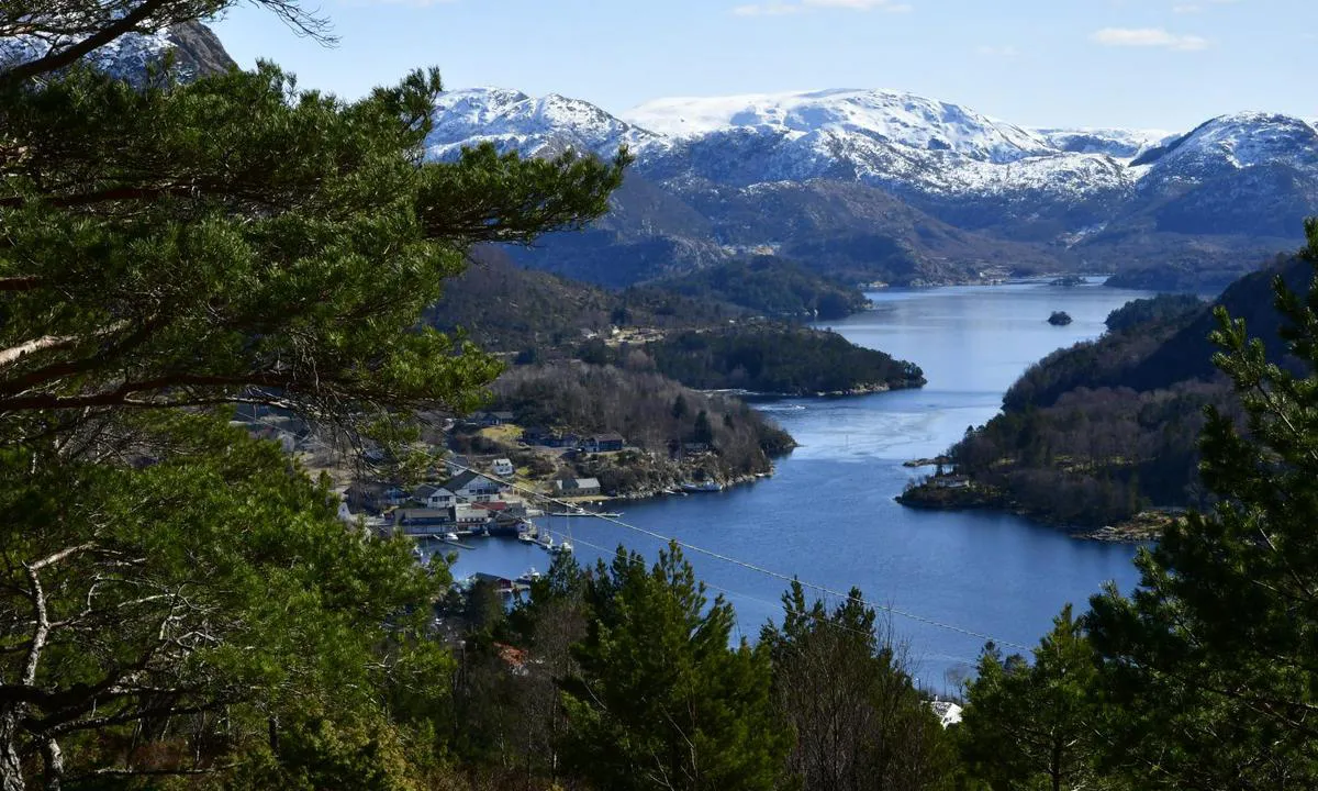 Eivindvik Gjestehavn: {"base": "en", "no": "Fin tur til toppen av H\u00f8gefjellet 369 moh. Godt merkede stier.", "se": "Fin vandringstur till toppen av H\u00f8gefjellet 369 m \u00f6.h. V\u00e4l markerade stigar.", "en": "Nice hiking trip to top of H\u00f8gefjellet 369 moh.  Well marked tracks.", "da": "Fin vandretur til toppen af H\u00f8gefjellet 369 moh. Godt afm\u00e6rkede stier."}